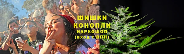 ПСИЛОЦИБИНОВЫЕ ГРИБЫ Михайлов