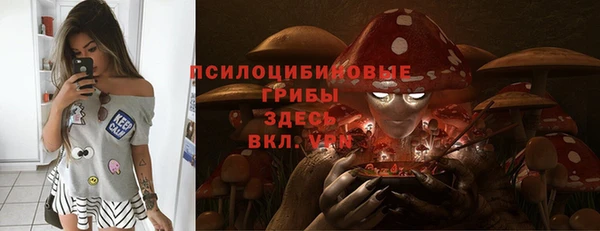 ПСИЛОЦИБИНОВЫЕ ГРИБЫ Михайлов