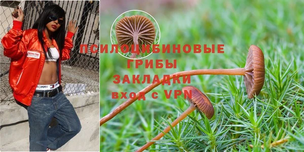 apvp Михайловск