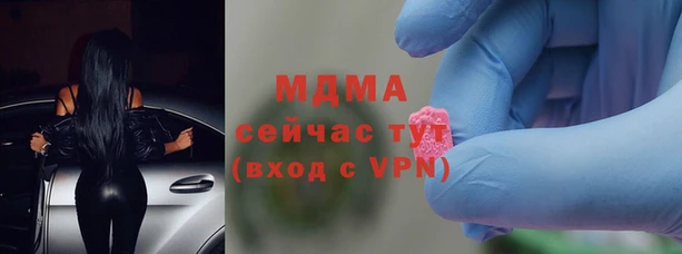 ПСИЛОЦИБИНОВЫЕ ГРИБЫ Михайлов