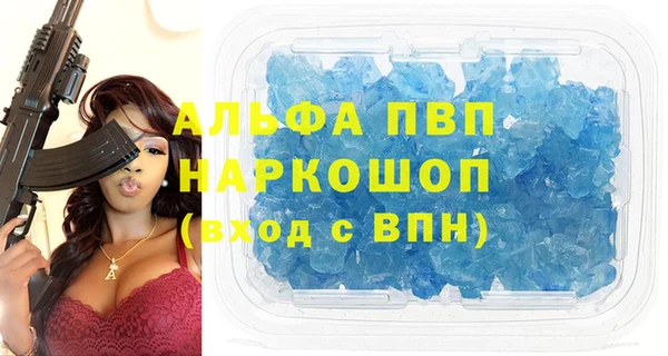 ПСИЛОЦИБИНОВЫЕ ГРИБЫ Михайлов