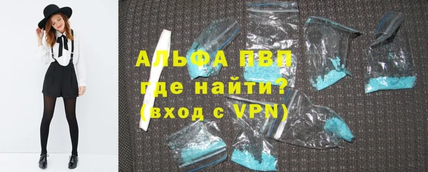 ПСИЛОЦИБИНОВЫЕ ГРИБЫ Михайлов