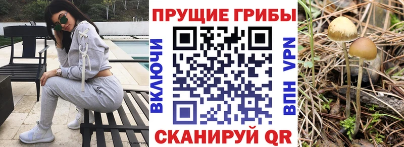 Галлюциногенные грибы мухоморы  Шлиссельбург 